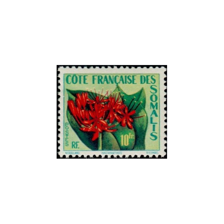 Cote des Somalies - 290