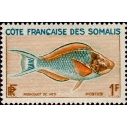 Cote des Somalies - 292