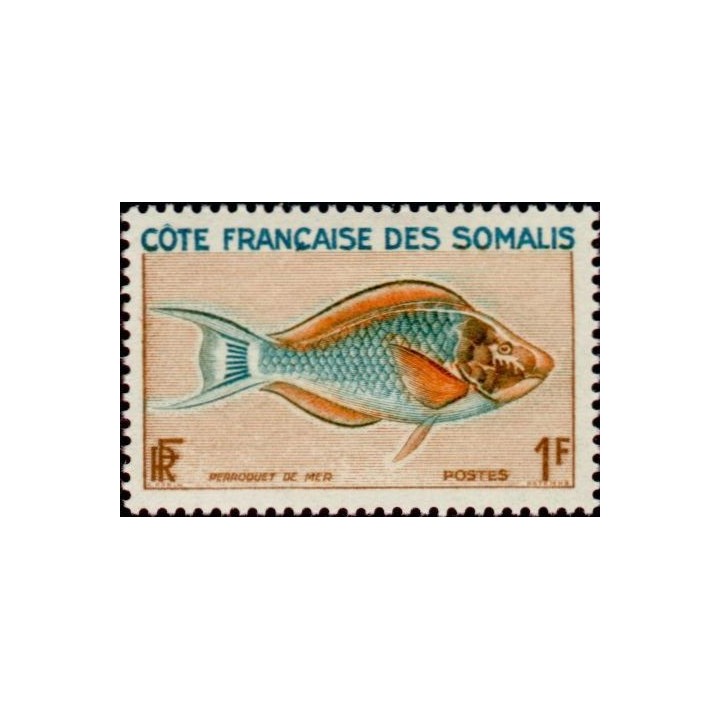 Cote des Somalies - 292