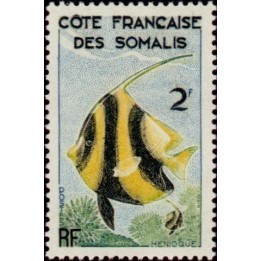 Cote des Somalies - 293