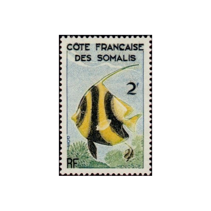 Cote des Somalies - 293