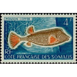 Cote des Somalies - 295