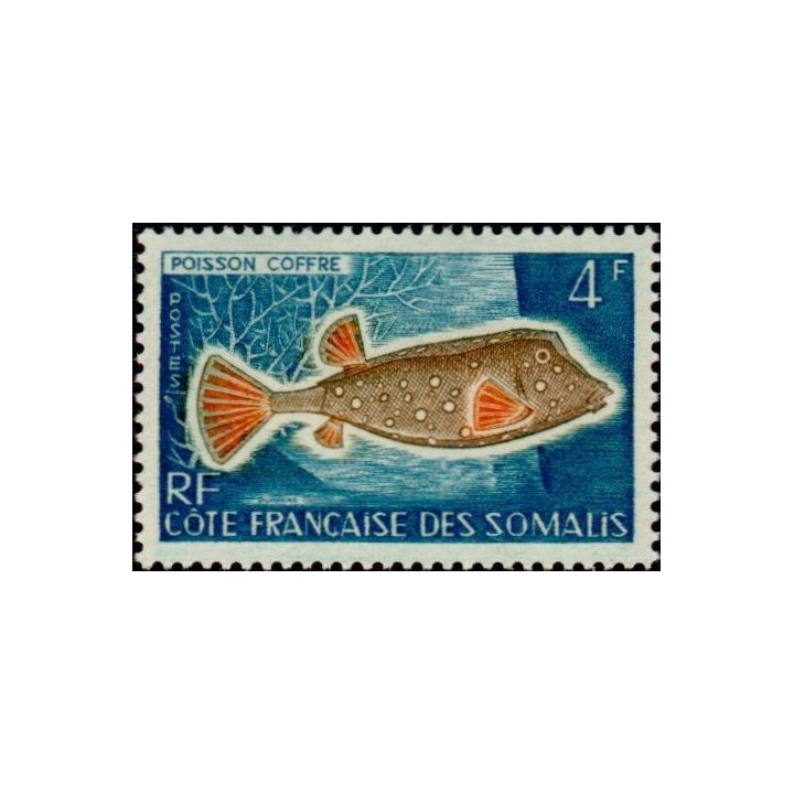 Cote des Somalies - 295