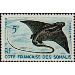 Cote des Somalies - 296