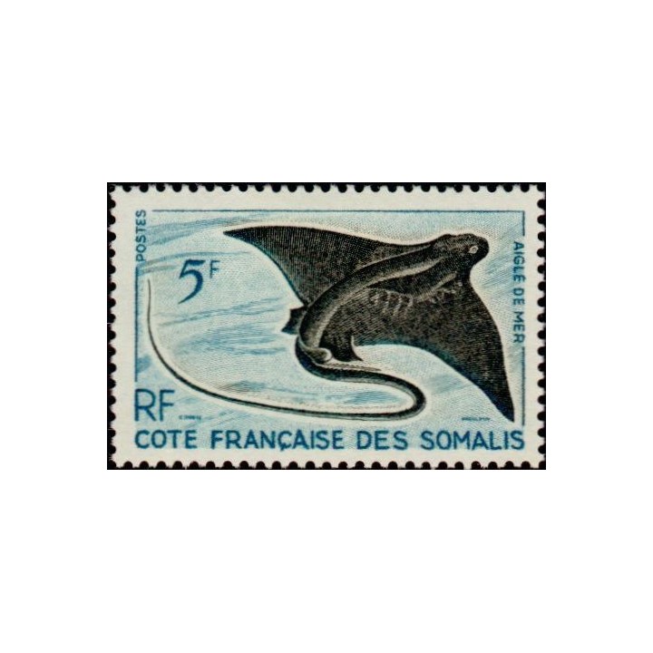 Cote des Somalies - 296