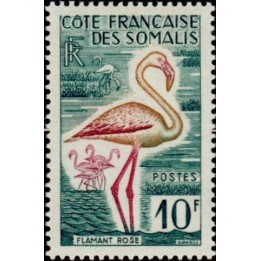 Cote des Somalies - 297