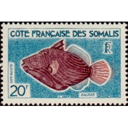 Cote des Somalies - 299