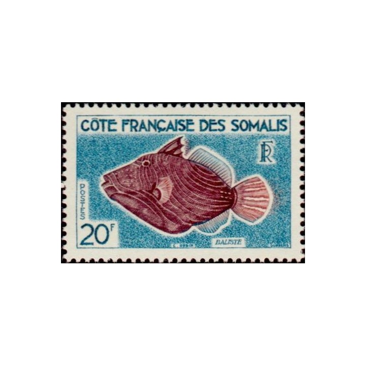 Cote des Somalies - 299