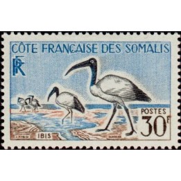 Cote des Somalies - 301