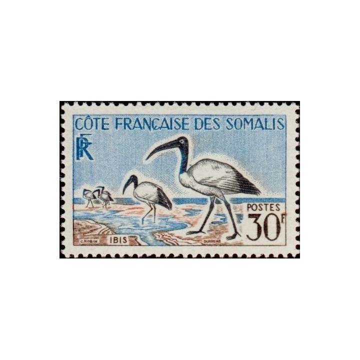 Cote des Somalies - 301