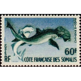 Cote des Somalies - 302