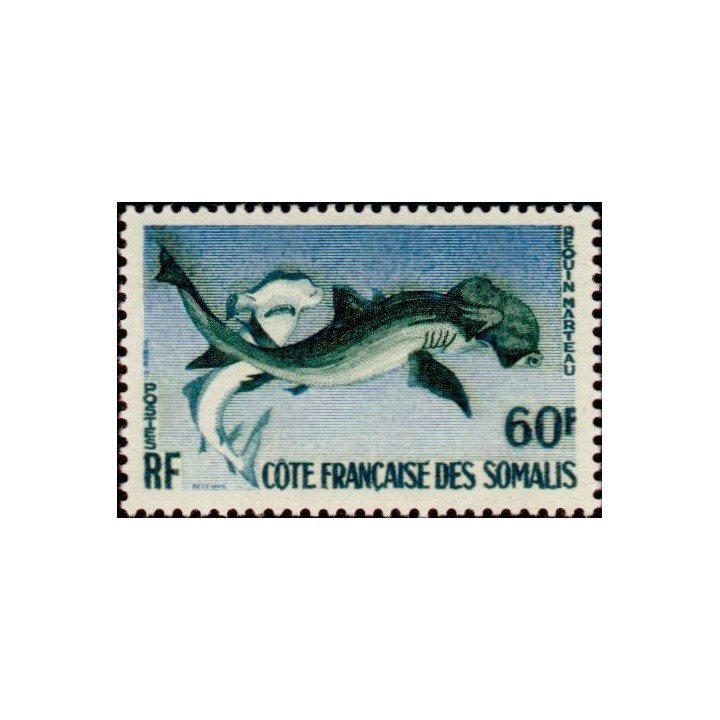 Cote des Somalies - 302
