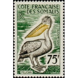 Cote des Somalies - 303
