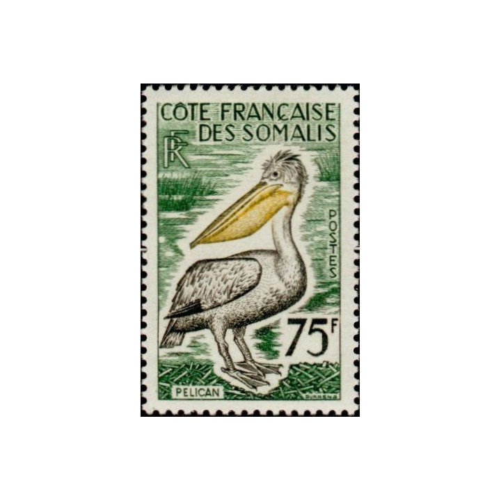 Cote des Somalies - 303