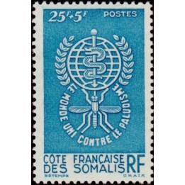 Cote des Somalies - 304