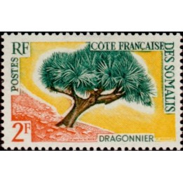 Cote des Somalies - 305