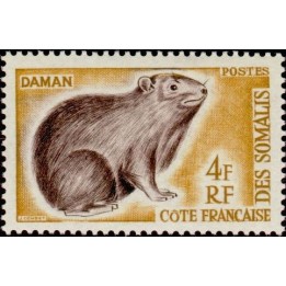 Cote des Somalies - 306