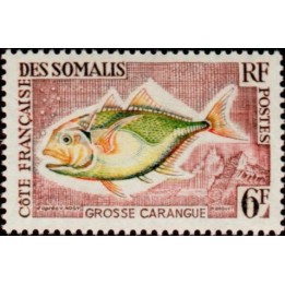 Cote des Somalies - 307