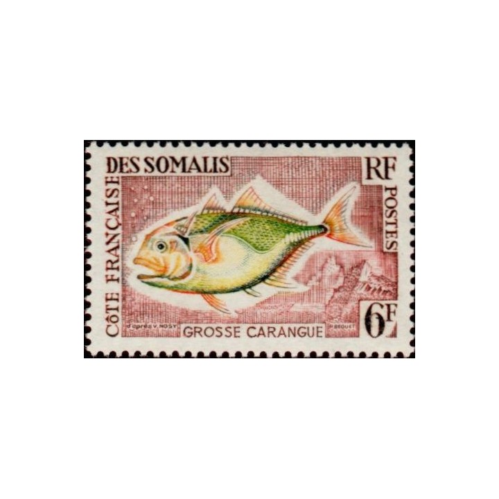Cote des Somalies - 307