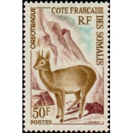 Cote des Somalies - 310