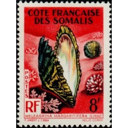 Cote des Somalies - 311