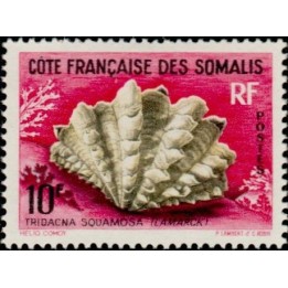 Cote des Somalies - 312