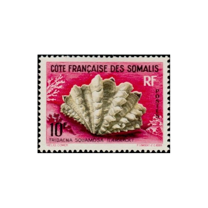 Cote des Somalies - 312