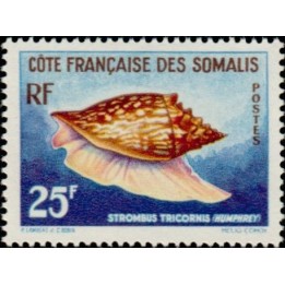 Cote des Somalies - 313