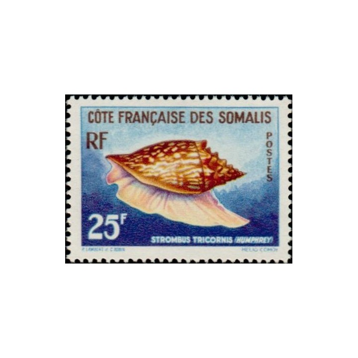Cote des Somalies - 313
