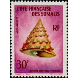 Cote des Somalies - 314