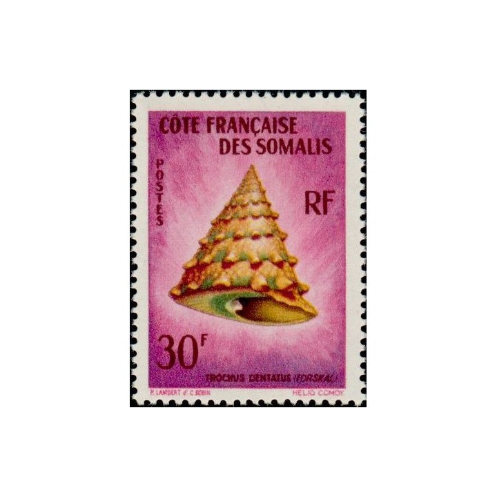 Cote des Somalies - 314