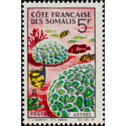 Cote des Somalies - 316