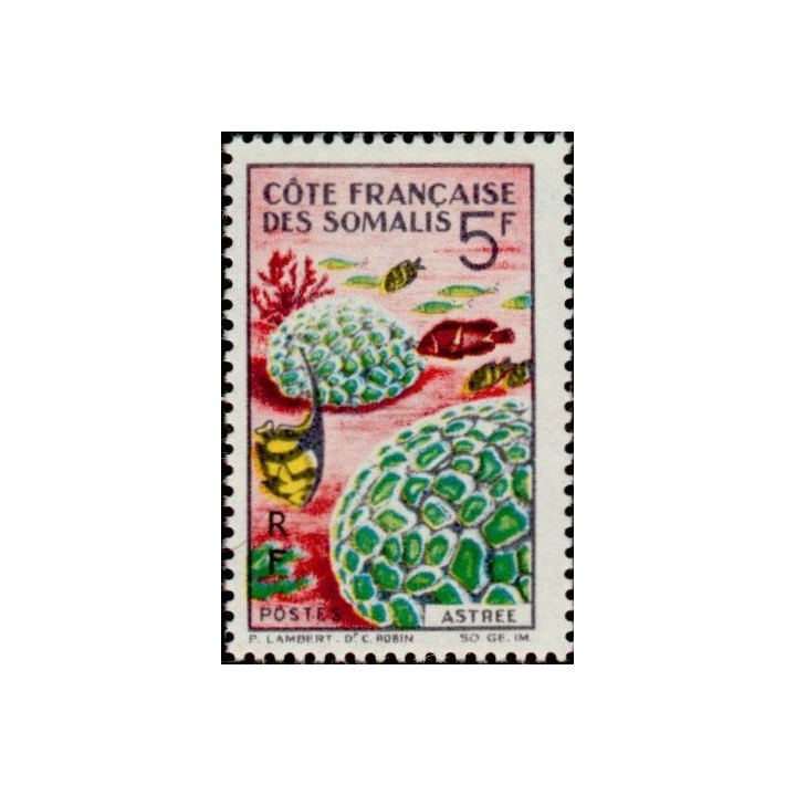 Cote des Somalies - 316