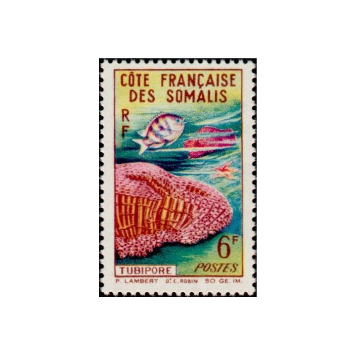 Cote des Somalies - 317