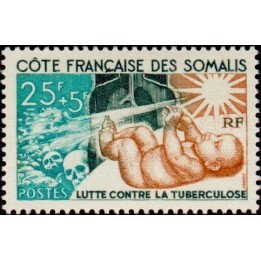 Cote des Somalies - 324