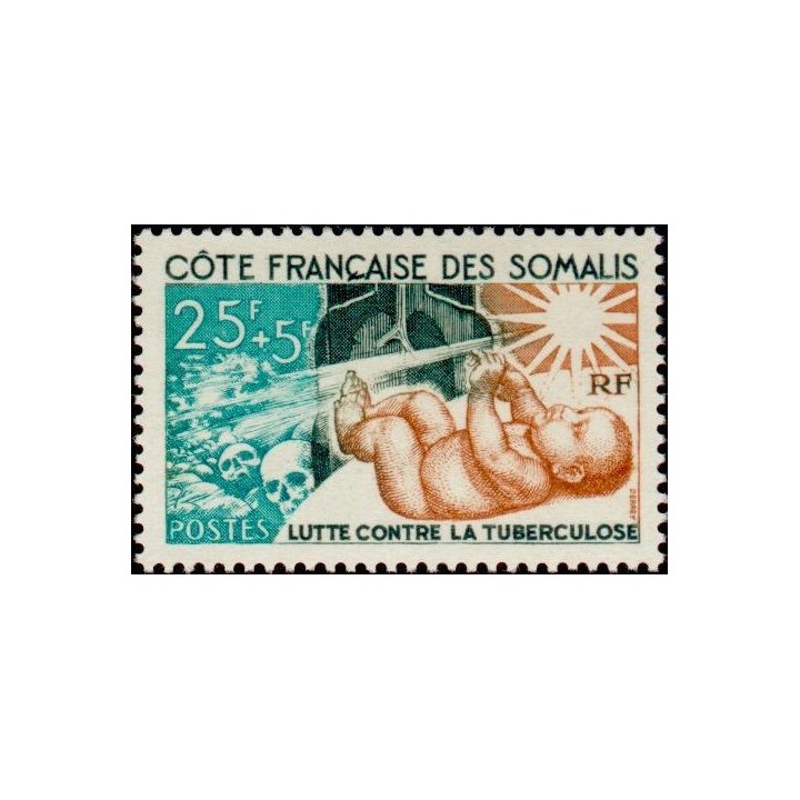 Cote des Somalies - 324