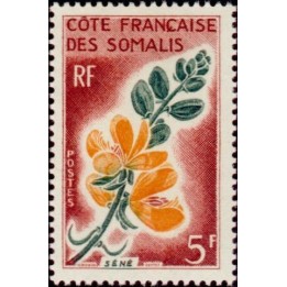 Cote des Somalies - 325