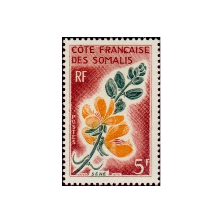 Cote des Somalies - 325