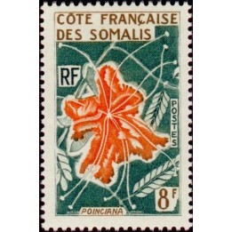 Cote des Somalies - 326