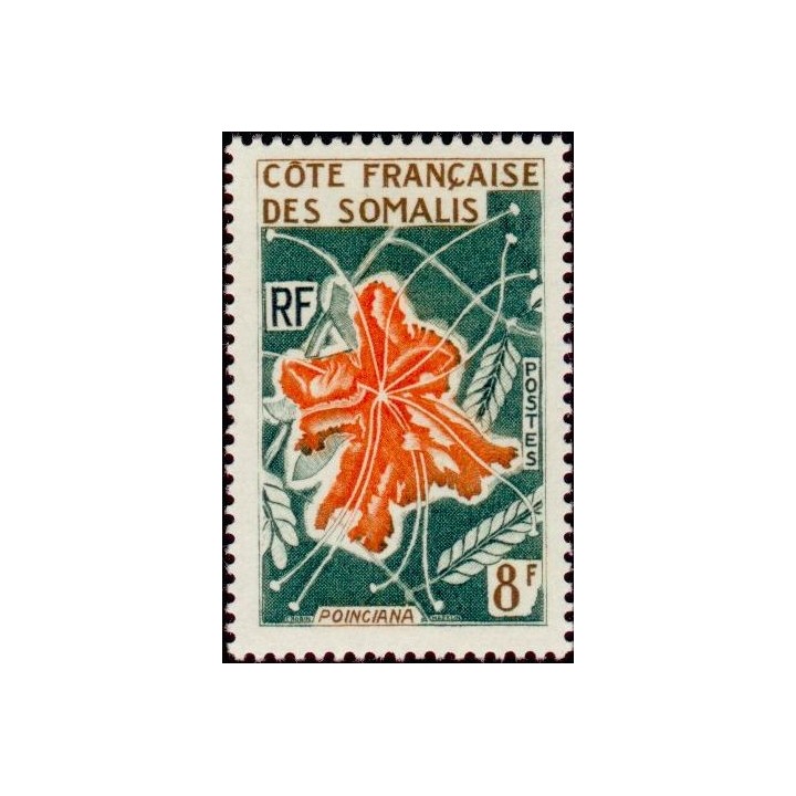 Cote des Somalies - 326