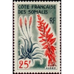 Cote des Somalies - 327