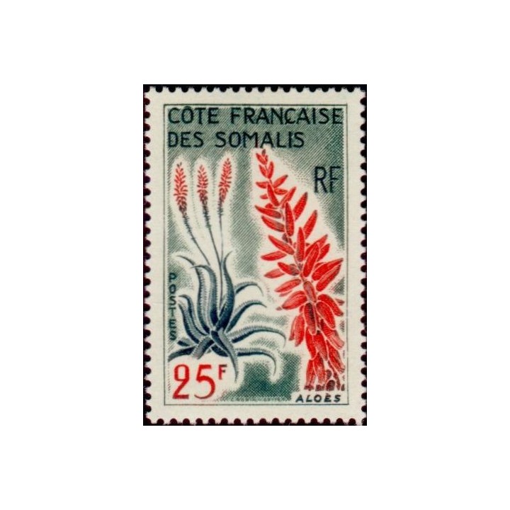 Cote des Somalies - 327