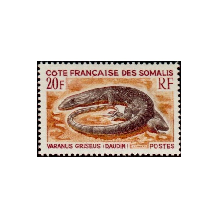 Cote des Somalies - 328