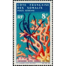 Cote des Somalies - Poste Aérienne 49