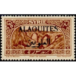 Alaouites - 31
