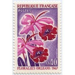France - 1528