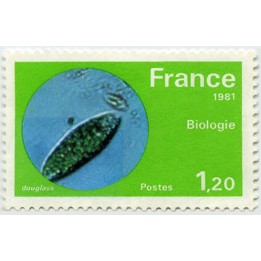 France - 2127