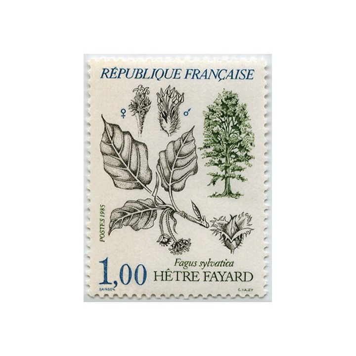 France - 2384