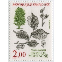 France - 2385