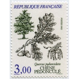 France - 2386